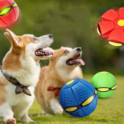 New Pet Dog Toys Flying UFO Saucer Disk Ball Durable Soft Rubber Ball Interactive Outdoor Sports Dog Training Funny Pet Toy